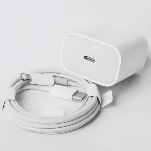 RoarX 25 W Quick Charge 3.1 A Mobile Charger with Detachable CableÂ Â (White)